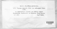 Image Associated With the Occurence
